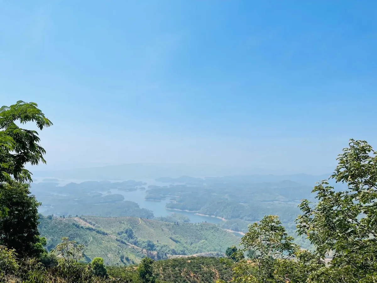Đồi cây xanh nhìn xuống lòng hồ Tà Đùng